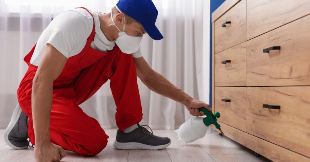 Como Eliminar Mosquitos em Londrina: 5 Técnicas capa dedetizacao em Londrina