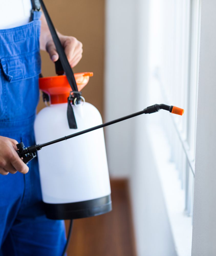 dedetizador em Londrina